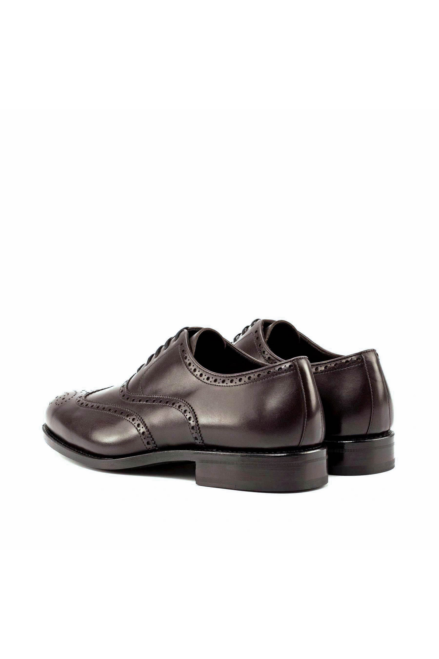 Brown Full Brogue