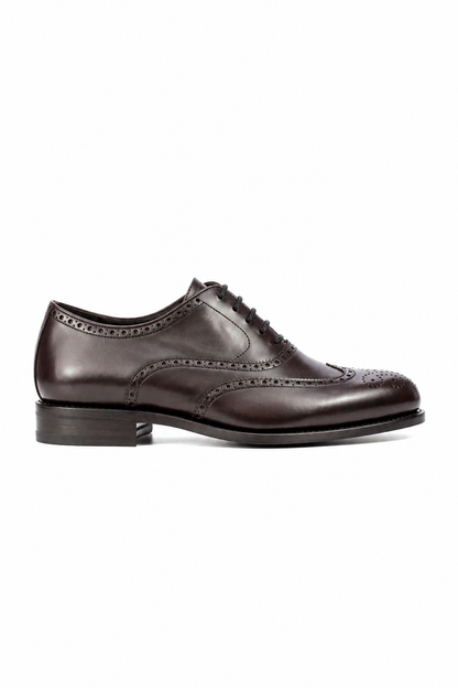 Brown Full Brogue