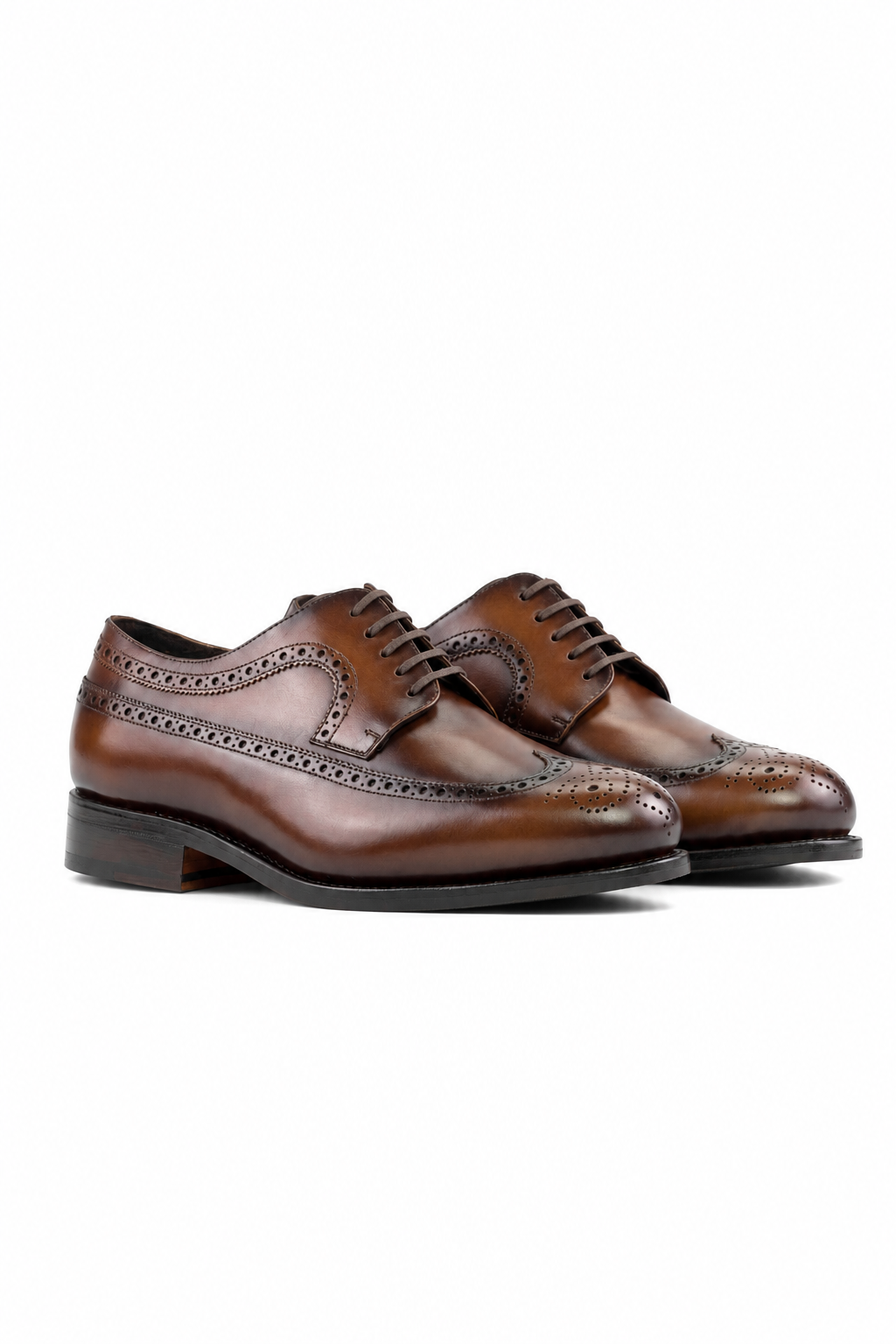 Orange Longwing Blucher