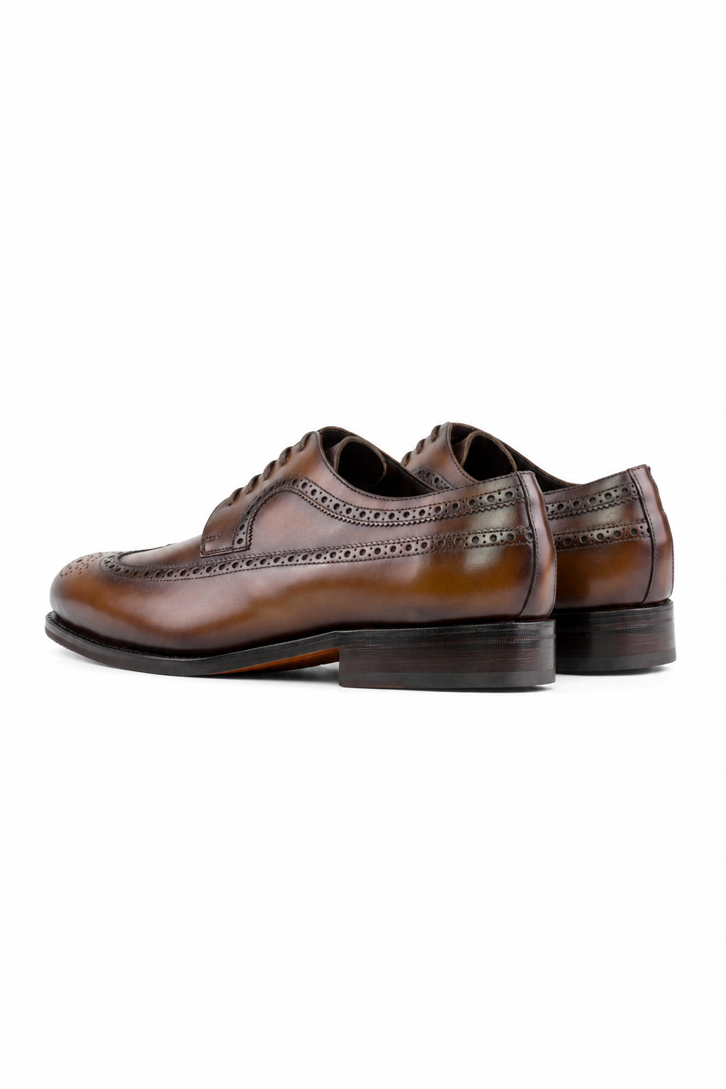 Orange Longwing Blucher