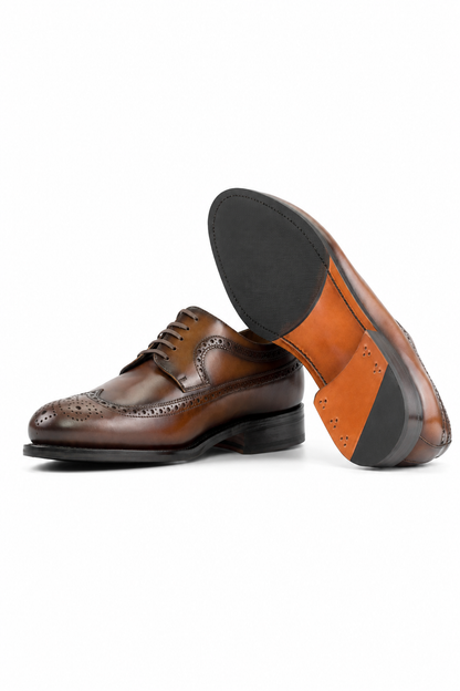 Orange Longwing Blucher