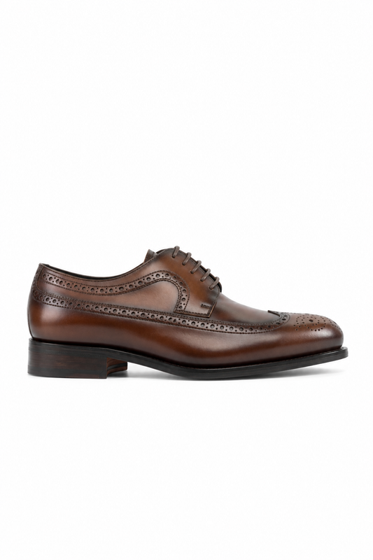 Orange Longwing Blucher