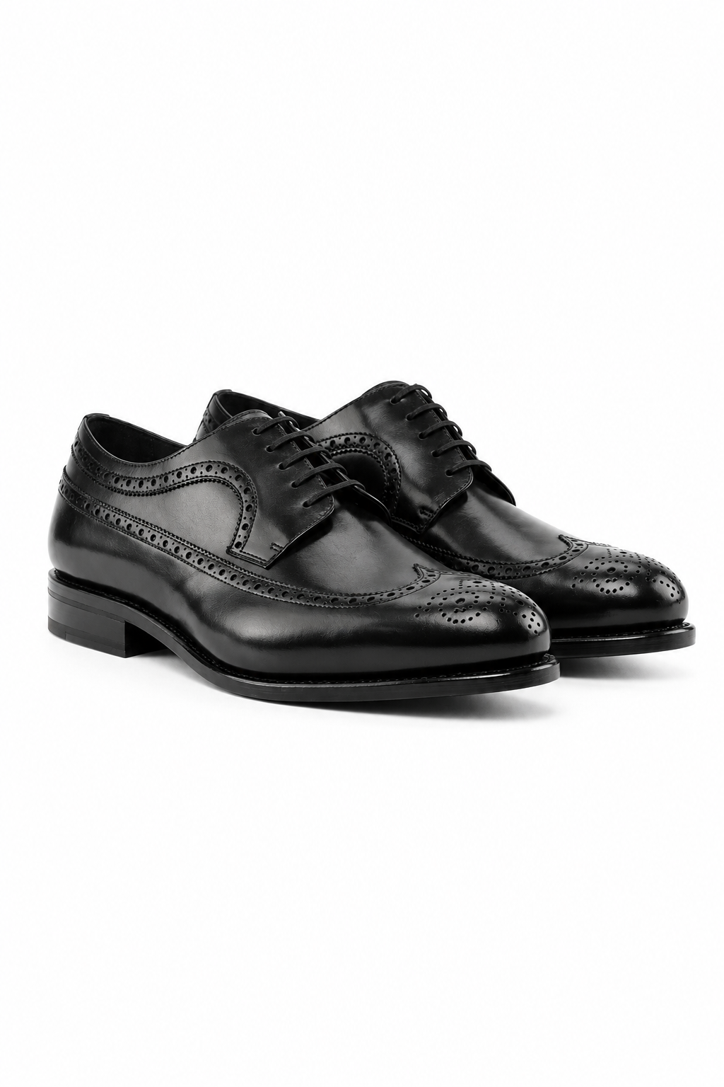 Black Longwing Blucher