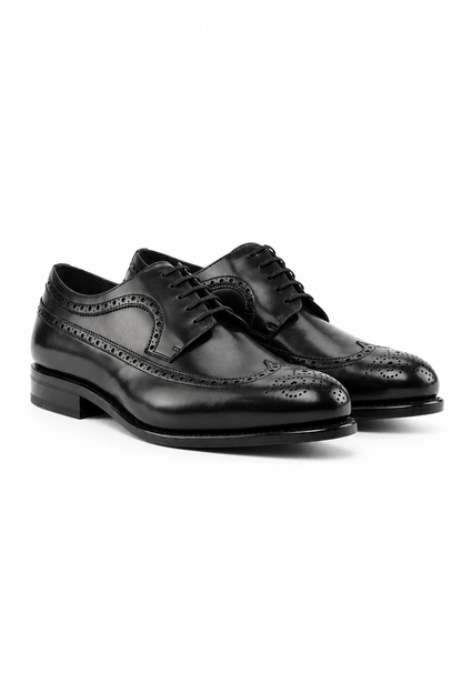 Black Longwing Blucher