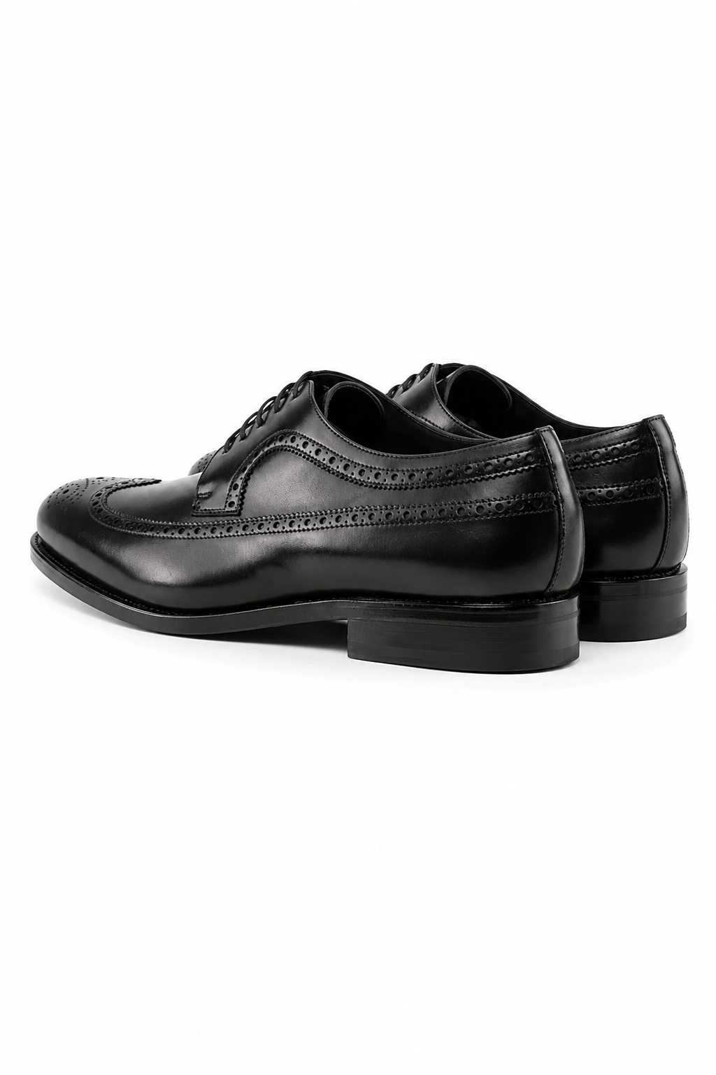 Black Longwing Blucher