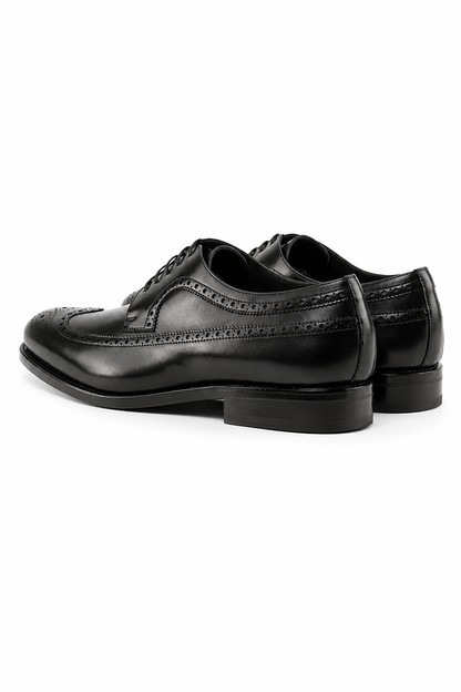 Black Longwing Blucher