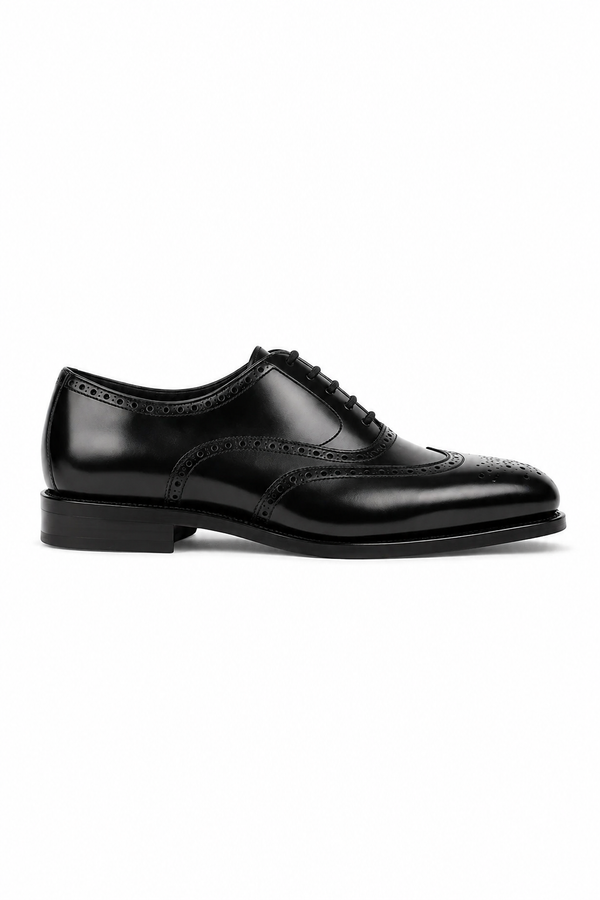 Black Longwing Blucher