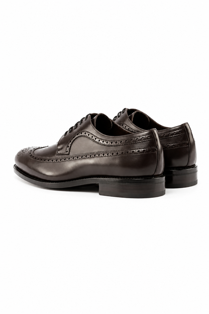 Brown Longwing Blucher