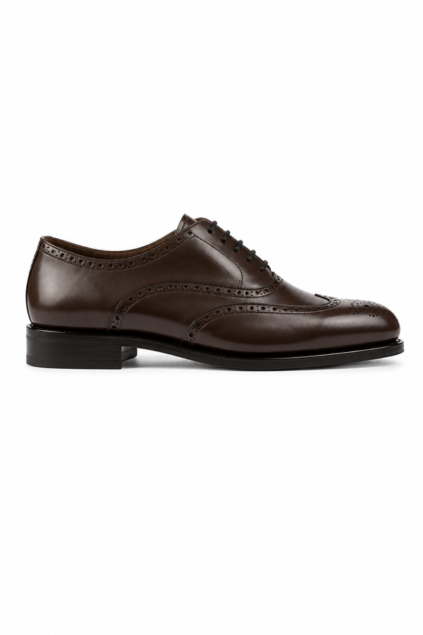 Brown Longwing Blucher