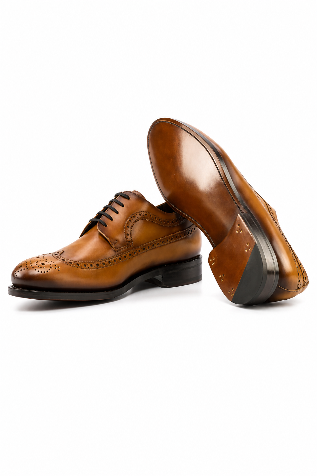 Tan Longwing Blucher