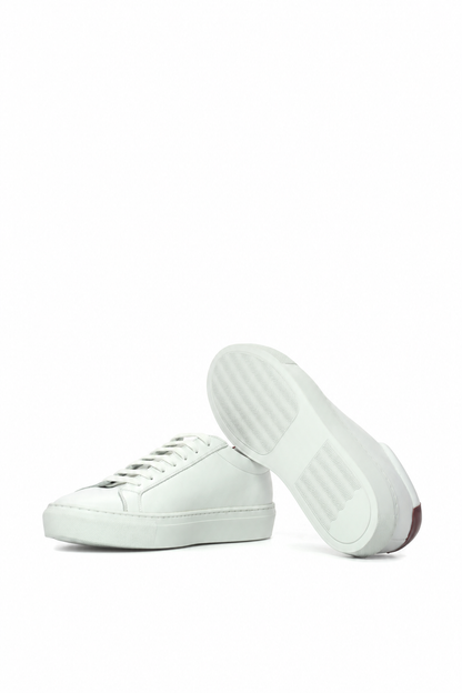 Alabaster Scarlet Low Kick